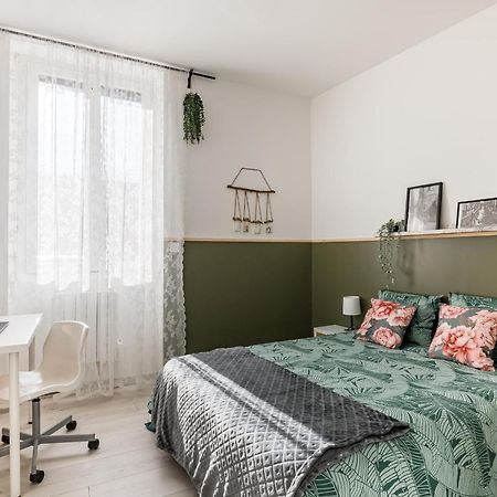 Superbe Appartement Cosy Avec Terrasse Saint-Etienne  Buitenkant foto